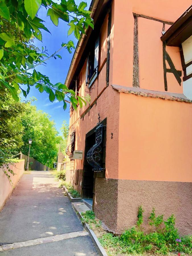 Gite "Rempart Sud" A Ribeauville Buitenkant foto