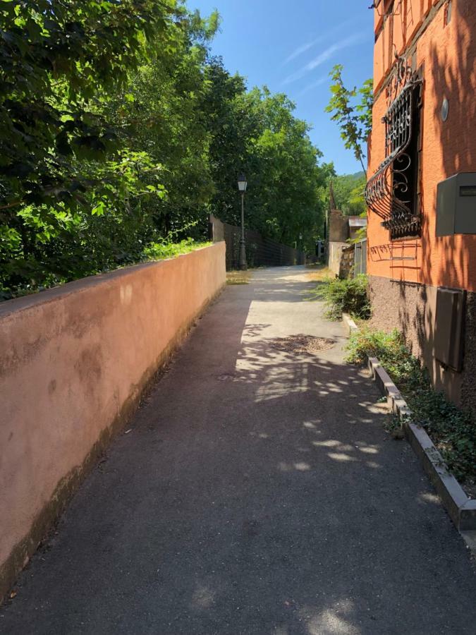 Gite "Rempart Sud" A Ribeauville Buitenkant foto